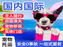 新郑空运公司国际宠物托运 【国